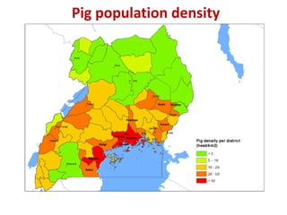 Smallholder pig value chains in Uganda