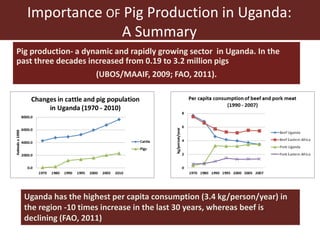 Smallholder pig value chains in Uganda