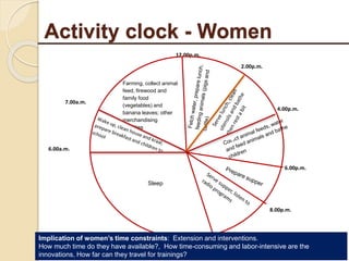 Livelihood assessment, decision-making  and institutions in the Uganda smallholder pig value chain: Results from descriptive analyses