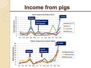 Livelihood assessment, decision-making  and institutions in the Uganda smallholder pig value chain: Results from descriptive analyses