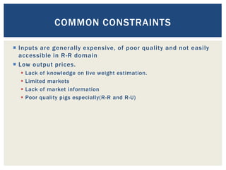 Value chain mapping: Results from VCA descriptive analyses of the Uganda’s smallholder pigs value chain