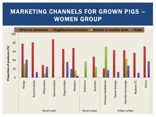 Value chain mapping: Results from VCA descriptive analyses of the Uganda’s smallholder pigs value chain