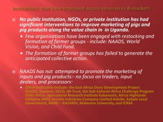 Successes and failures of institutional innovations for improving access to services, input and output markets for smallholder pig production systems and value chains in Uganda