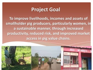 Catalysing emerging smallholder pig value chains in Uganda to increase rural incomes and assets: Introducing the project 
