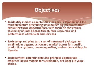 Catalysing emerging smallholder pig value chains in Uganda to increase rural incomes and assets: Introducing the project 