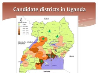 Catalysing emerging smallholder pig value chains in Uganda to increase rural incomes and assets: Introducing the project 