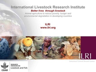 Catalysing emerging smallholder pig value chains in Uganda to increase rural incomes and assets: Introducing the project 