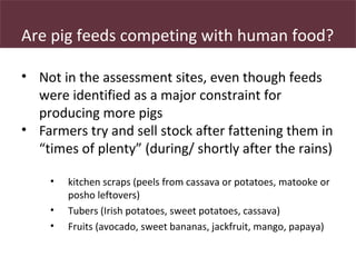 Safe Food, Fair Food: Reporting on the consumer end of the pig value chain in Uganda