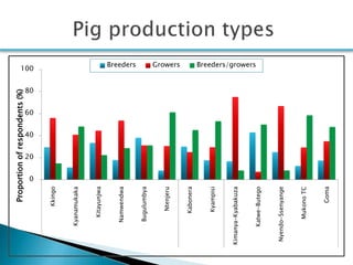 Smallholder pig production systems in Uganda: Results from VCA descriptive analyses