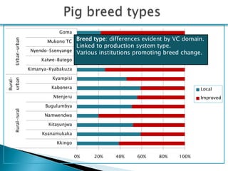 Smallholder pig production systems in Uganda: Results from VCA descriptive analyses
