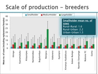 Smallholder pig production systems in Uganda: Results from VCA descriptive analyses