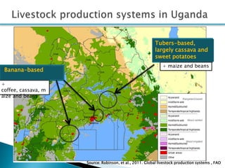 Smallholder pig production systems in Uganda: Results from VCA descriptive analyses