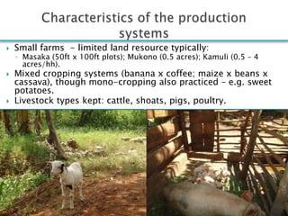 Smallholder pig production systems in Uganda: Results from VCA descriptive analyses