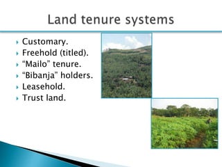 Smallholder pig production systems in Uganda: Results from VCA descriptive analyses