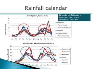 Smallholder pig production systems in Uganda: Results from VCA descriptive analyses