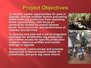 Introducing the Workshop on in-depth smallholder pig value chain assessment and preliminary identification of best-bet interventions, Kampala, Uganda, 9-11 April 2013