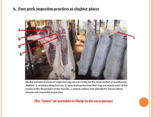 Diseases of economic and zoonotic importance in pig farming in Uganda: Control practices, successes, failures and the way forward