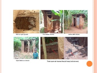 Diseases of economic and zoonotic importance in pig farming in Uganda: Control practices, successes, failures and the way forward