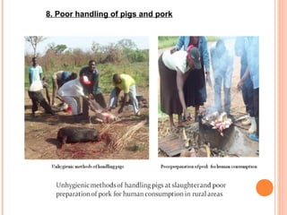 Diseases of economic and zoonotic importance in pig farming in Uganda: Control practices, successes, failures and the way forward