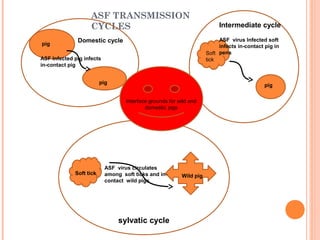 Diseases of economic and zoonotic importance in pig farming in Uganda: Control practices, successes, failures and the way forward