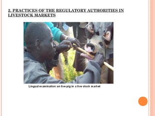 Diseases of economic and zoonotic importance in pig farming in Uganda: Control practices, successes, failures and the way forward