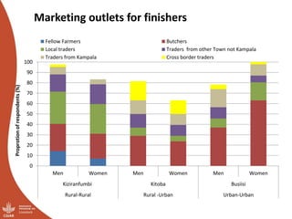 Overview of ILRI’s smallholder pig value chain efforts in Hoima district