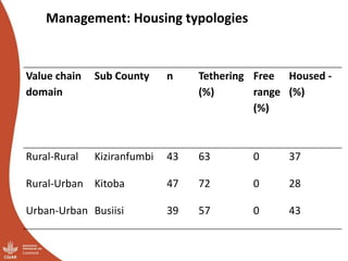 Overview of ILRI’s smallholder pig value chain efforts in Hoima district