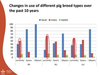 Overview of ILRI’s smallholder pig value chain efforts in Hoima district