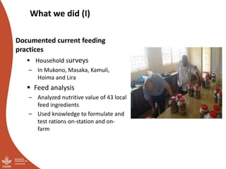 Overview of ILRI’s smallholder pig value chain efforts in Hoima district