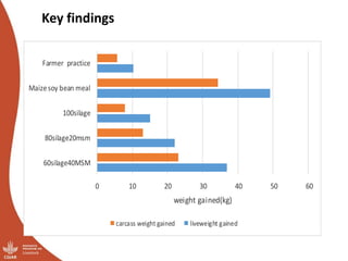 Overview of ILRI’s smallholder pig value chain efforts in Hoima district