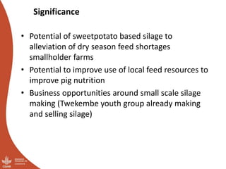 Overview of ILRI’s smallholder pig value chain efforts in Hoima district