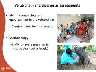 Overview of ILRI’s smallholder pig value chain efforts in Hoima district