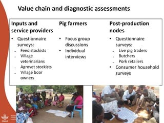 Overview of ILRI’s smallholder pig value chain efforts in Hoima district