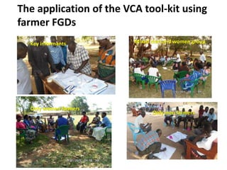 Overview of ILRI’s smallholder pig value chain efforts in Lira district