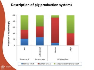 Overview of ILRI’s smallholder pig value chain efforts in Lira district