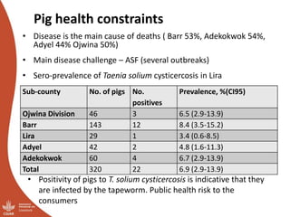Overview of ILRI’s smallholder pig value chain efforts in Lira district