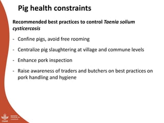 Overview of ILRI’s smallholder pig value chain efforts in Lira district