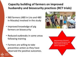 Overview of ILRI’s smallholder pig value chain efforts in Lira district