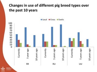 Overview of ILRI’s smallholder pig value chain efforts in Lira district