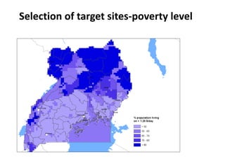 Overview of ILRI’s smallholder pig value chain efforts in Lira district