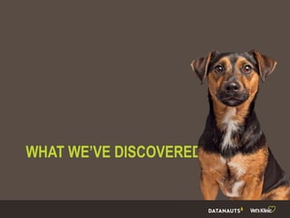 WHAT WE’VE DISCOVERED
 