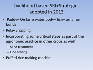 Livelihood based SRI+Strategies
adopted in 2013
• Paddy+ On farm water body+ fish+ arhar on
bunds
• Relay cropping
• Incor...