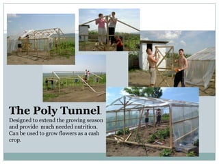 The Poly Tunnel.
Designed to extend the growing season
and provide much needed nutrition.
Can be used to grow flowers as a cash
crop.
 