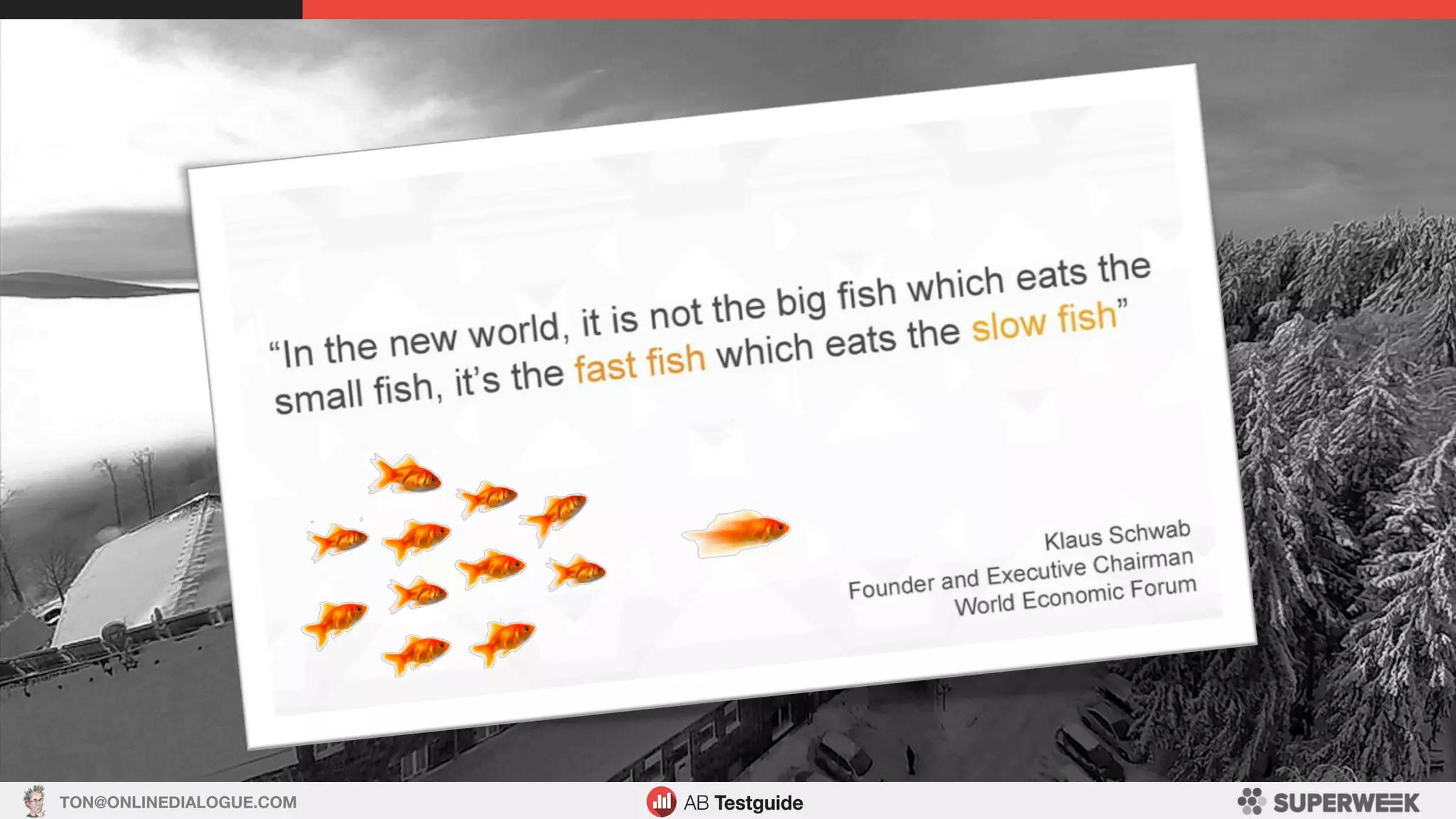 TON@ONLINEDIALOGUE.COM
 