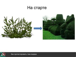 На старте
How to test your team leader and how it involves your careerКак протестировать тим-лидера
 