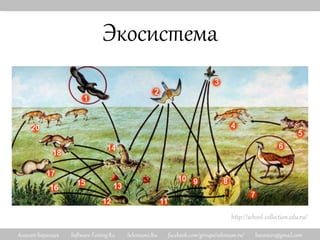 Алексей Баранцев Software-Testing.Ru Selenium2.Ru facebook.com/groups/selenium.ru/ barancev@gmail.com
Экосистема
http://school-collection.edu.ru/
 