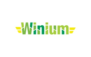 WebDriver
протокол
Магия
Winium Driver
Тестируемая
система
Архитектура Winium
 