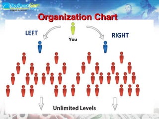 You Organization Chart 