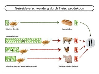 Kalorie in Getreide
Indirekte Nahrung
pﬂanzliche Kalorien (Weizen als Futtermittel)
Kalorie in Brot
tierische Kalorien (Fleisch)
1
10
4
3
1
1
1
1
Getreideverschwendung durch Fleischproduktion
 