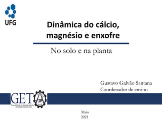 Dinâmica do cálcio,
magnésio e enxofre
No solo e na planta
Maio
2021
Gustavo Galvão Santana
Coordenador de ensino
 